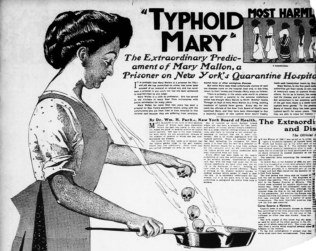 Mary Mallon is publicly named in The American, June 1909
