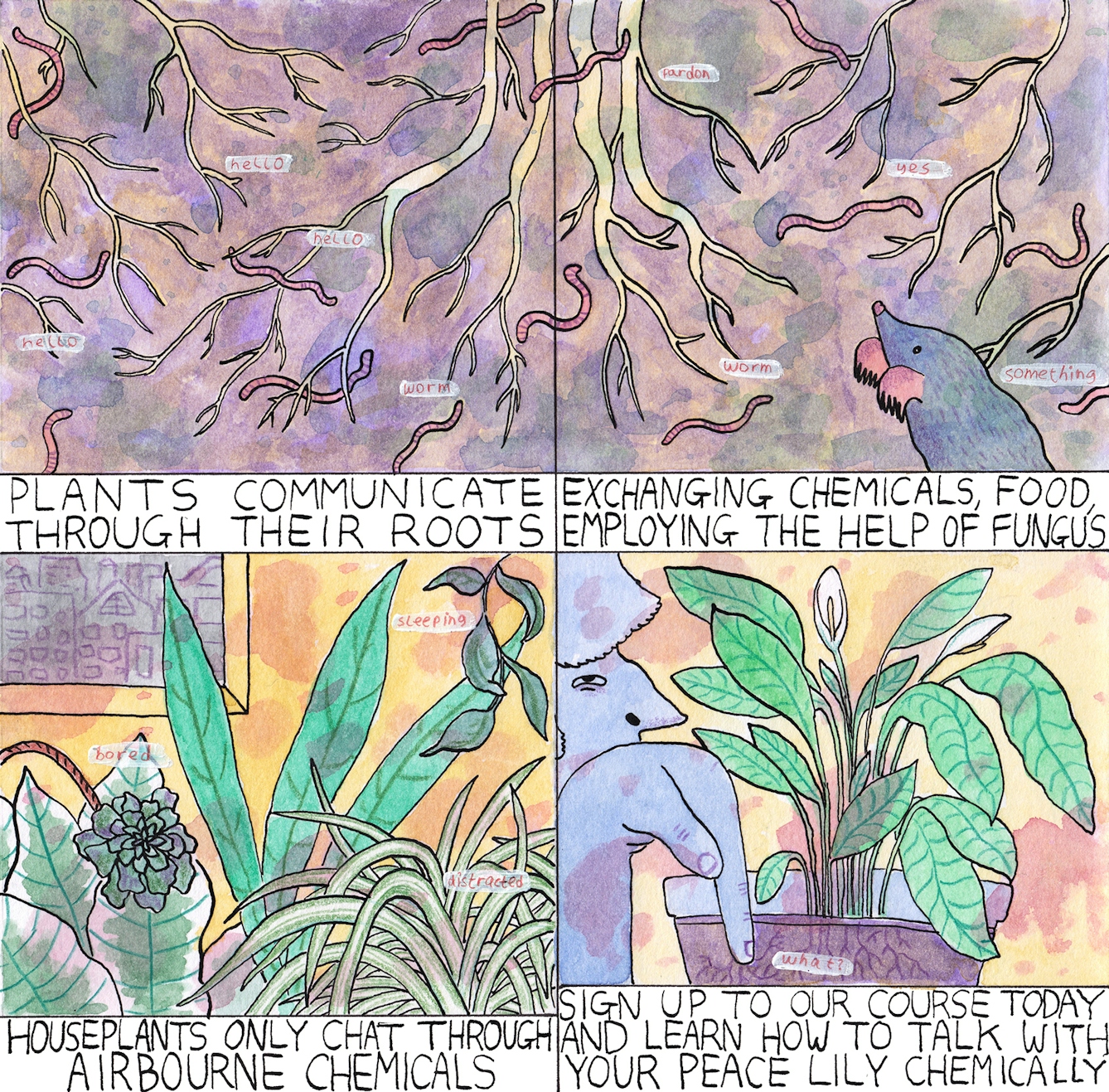 Roots comic by Rob Bidder