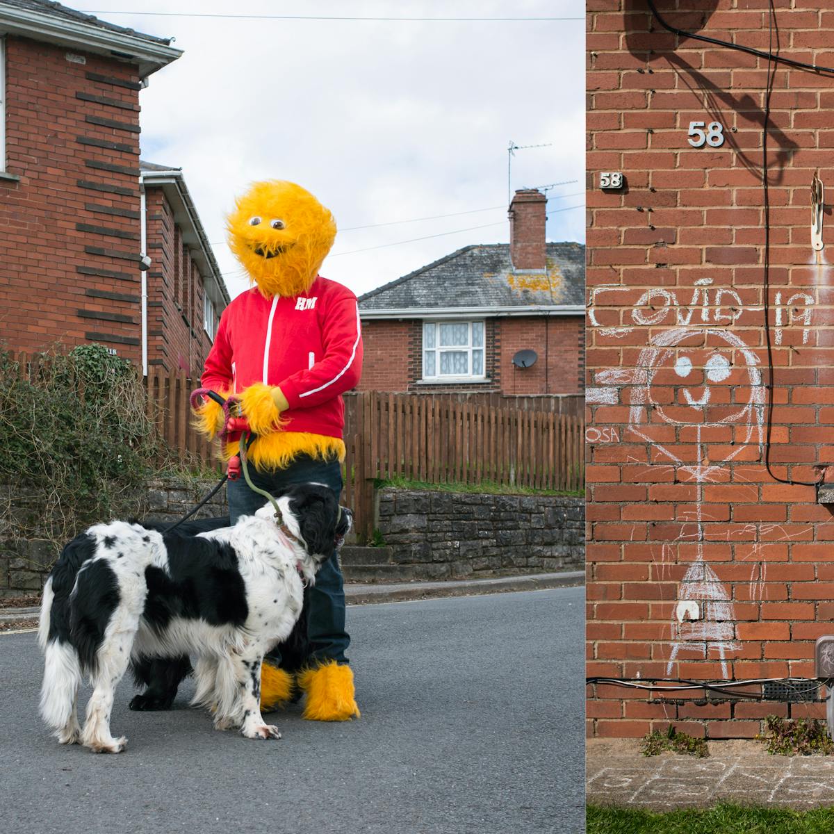 A photographic diptych. The image on the left shows an adult wearing a furry yellow Honey Monster costume, including a red tracksuit top and blue tracksuit bottoms standing in a residential road with red brick houses beyond. The Honey Monster is holding a large black and white dog facing away from camera. The image on the right shows a section of the ground floor of a red brick house with a white PVC door and window with net curtains. On the brick wall surrounding the window there is a large chalk drawing of a stick person with Covid-19 written above it. Beneath the window is written ‘stay home’. 