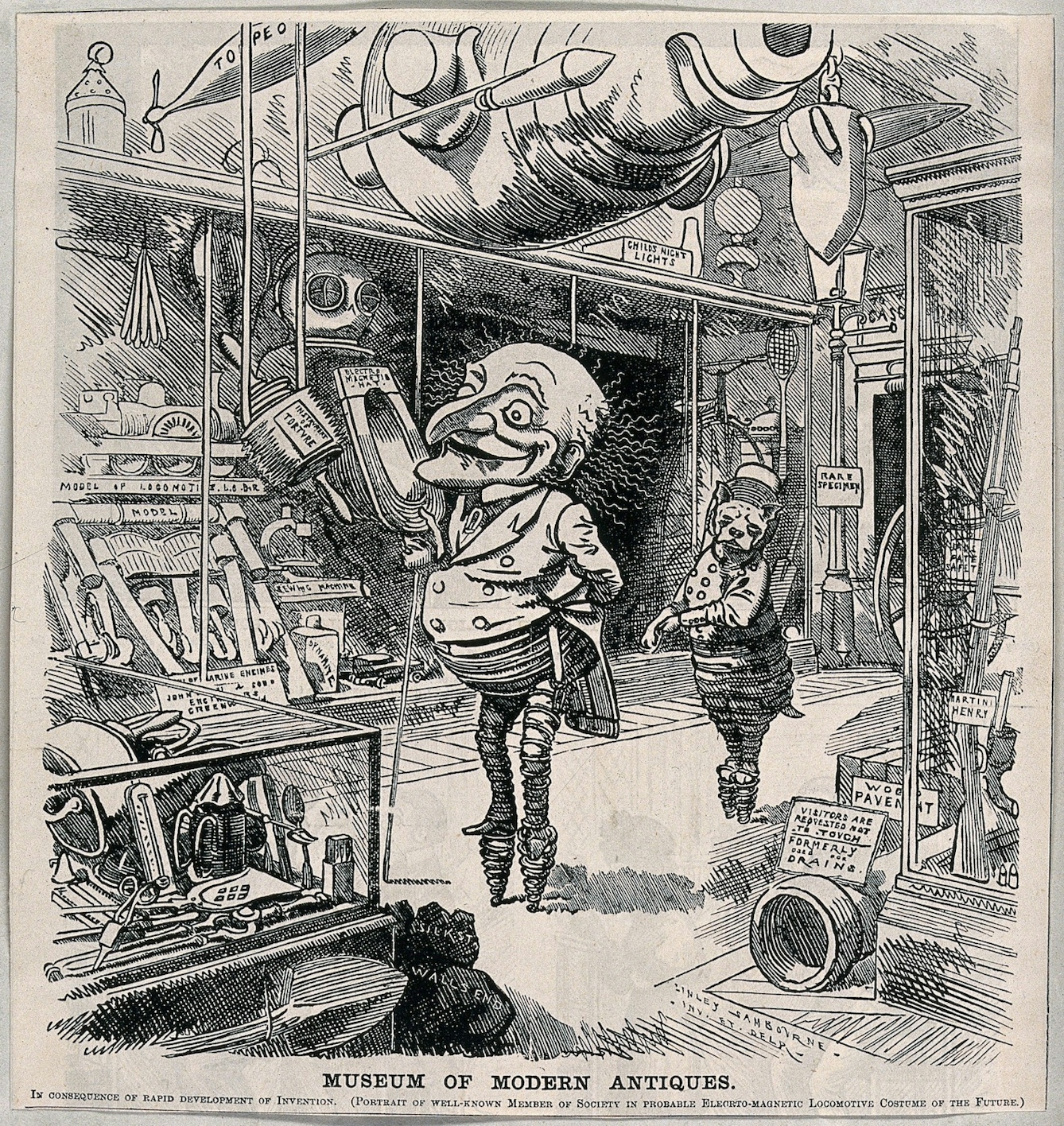 Drawing of Mr Punch and a cat in an antiques shop