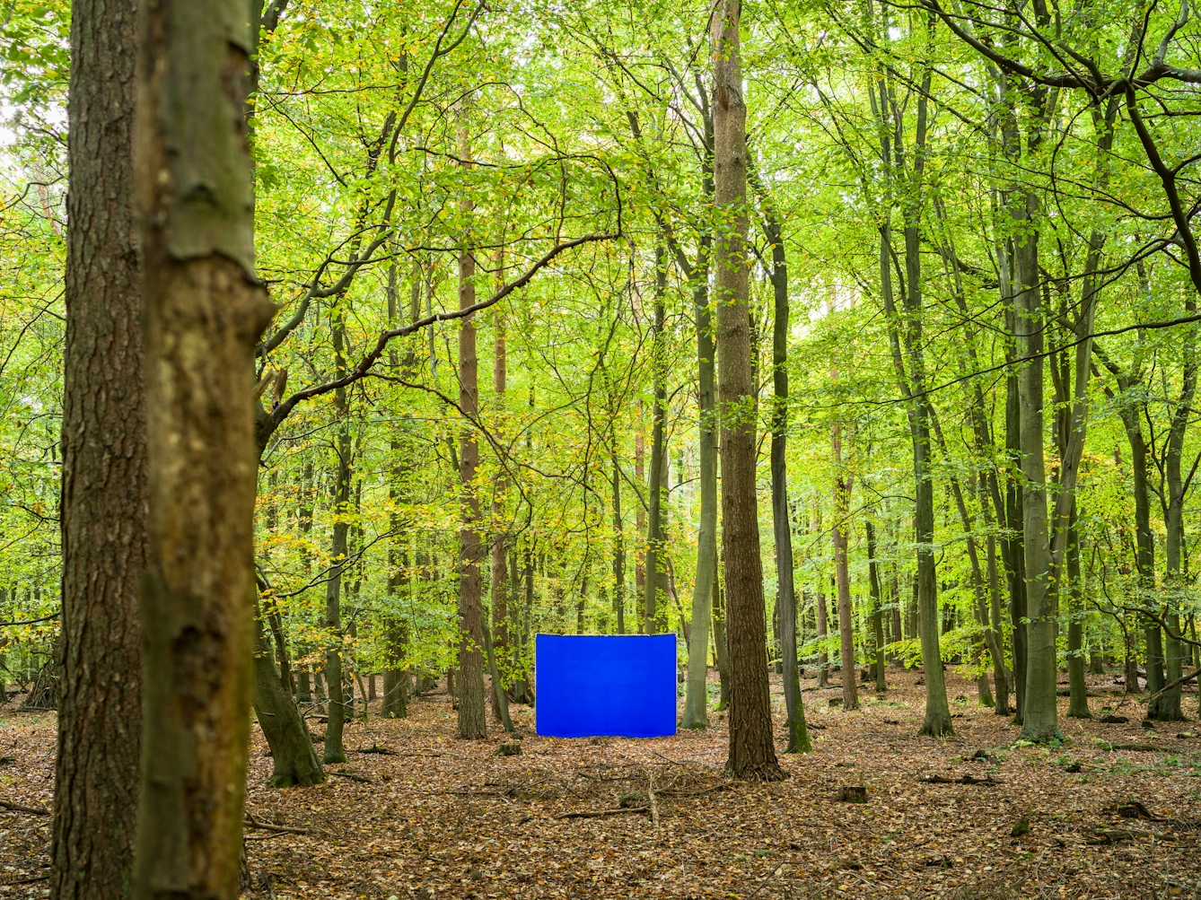 Colour landscape photograph showing an ancient woodland scene. In the lower centre of the image, in a clearing, is a large rectangular photographic background frame. Stretched across the frame is a vibrant blue chroma key fabric. The floor of the wood is covered in rust coloured leaves and fallen branches. To the left and right of the image tall strong tree trunks rise up through the frame to a canopy of green leaves. As the scene recedes into the distance the tree trunks continue to rise up around the screen. The green leaves of the trees obscure all the sky from view, save for a few bright glimpses here and there.