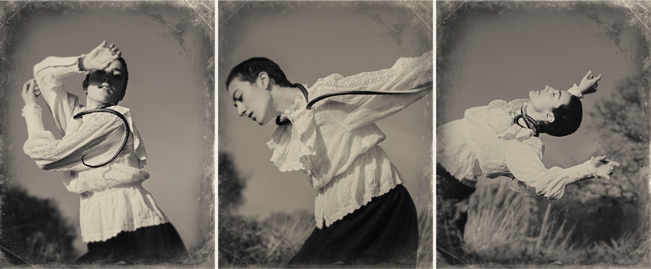 Sepia toned photographic triptych. Each image has a digital filter applied to give the impression the photograph was created using a glass-plate process from the mid 19th century. The effect of this filter includes scratches and fingerprints. All the photographs show an outside grassland scene made up of tall grasses. In each of the images is a woman dressed in a black skirt and a white blouse embellished with frills and large cuffs. Wrapped around her neck and running over her shoulders is a long dark toned snake. In each image the woman is striking expressive dance-like poses, arms raised, neck strained, body arched. The centre of each of images is in sharp focus, but the edges descend quickly into a blur.