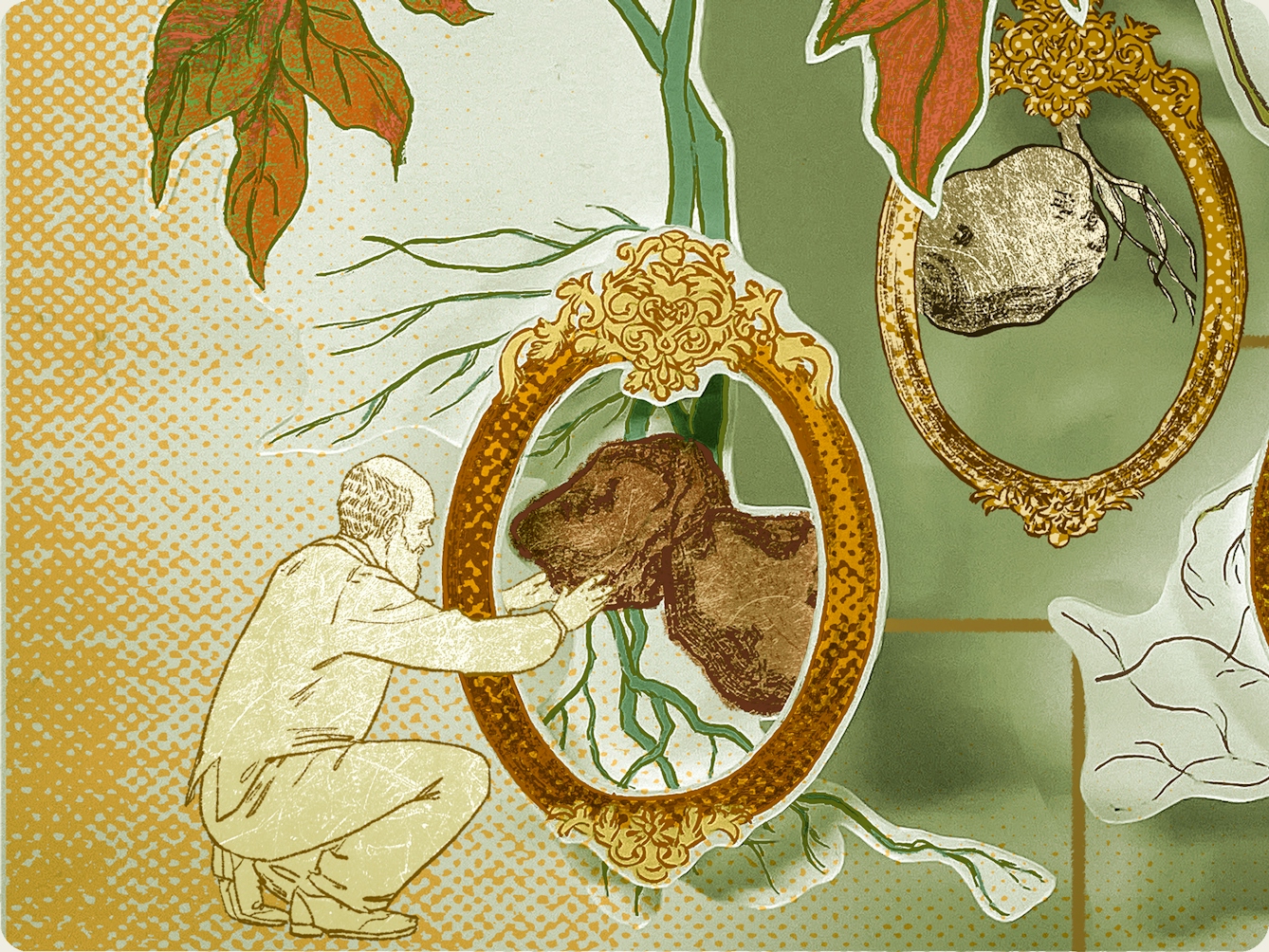 Photograph of a papercut 3D artwork. Detail from a larger artwork which shows a family tree like diagram of six potatoes. This detail pictures an illustration of Charles Darwin crouching beside a potato, touching it with both his hands.