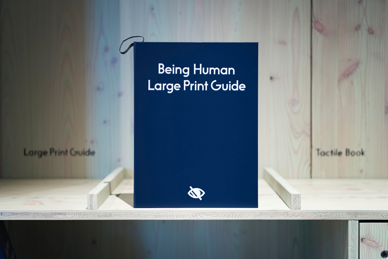 Image shows the cover of a large print guide in the Being Human gallery. The title appears in large font in high contrast and the symbol for visual disability also appears on the cover.