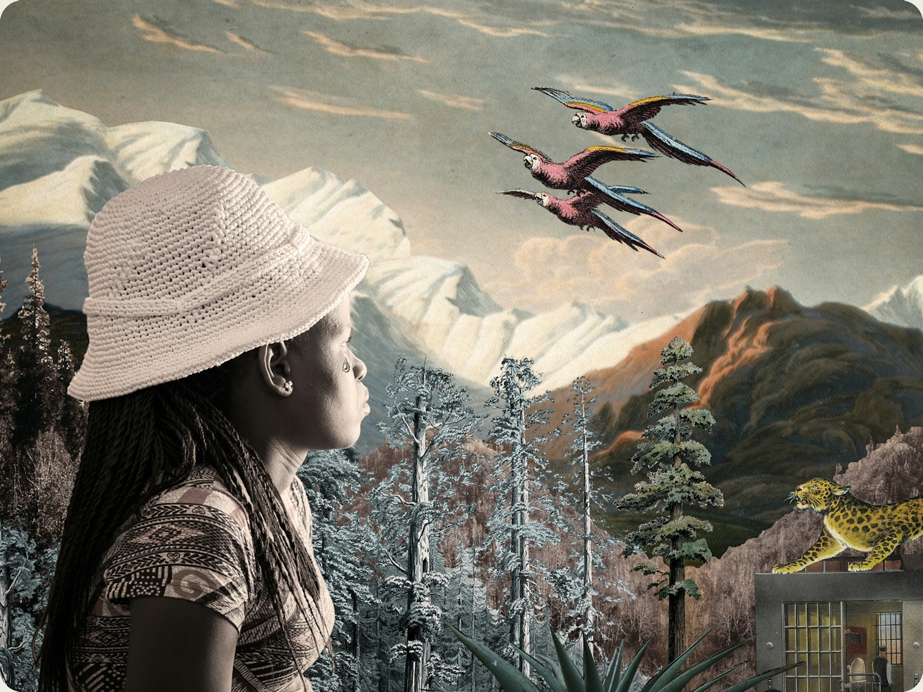 Artwork using collage. The collaged elements are made up of archive material which includes vintage and contemporary photographs, etchings, painted illustrations, lithographic prints and line drawings. This artwork depicts a scene with an urban and rural combined background, where high mountains and hills rise in the distance. In the middle distance are a series of tall trees and a jail like structure with bars. On top of the jail stands a large leopard looking up to the sky. In the foreground on the left side of the image is a woman wearing a pattered dress and knitted to crocheted hat. She is looking away into the distant hills with a tear rolling down her right cheek. In the cloud scattered sky above are 3 parrots in flight.