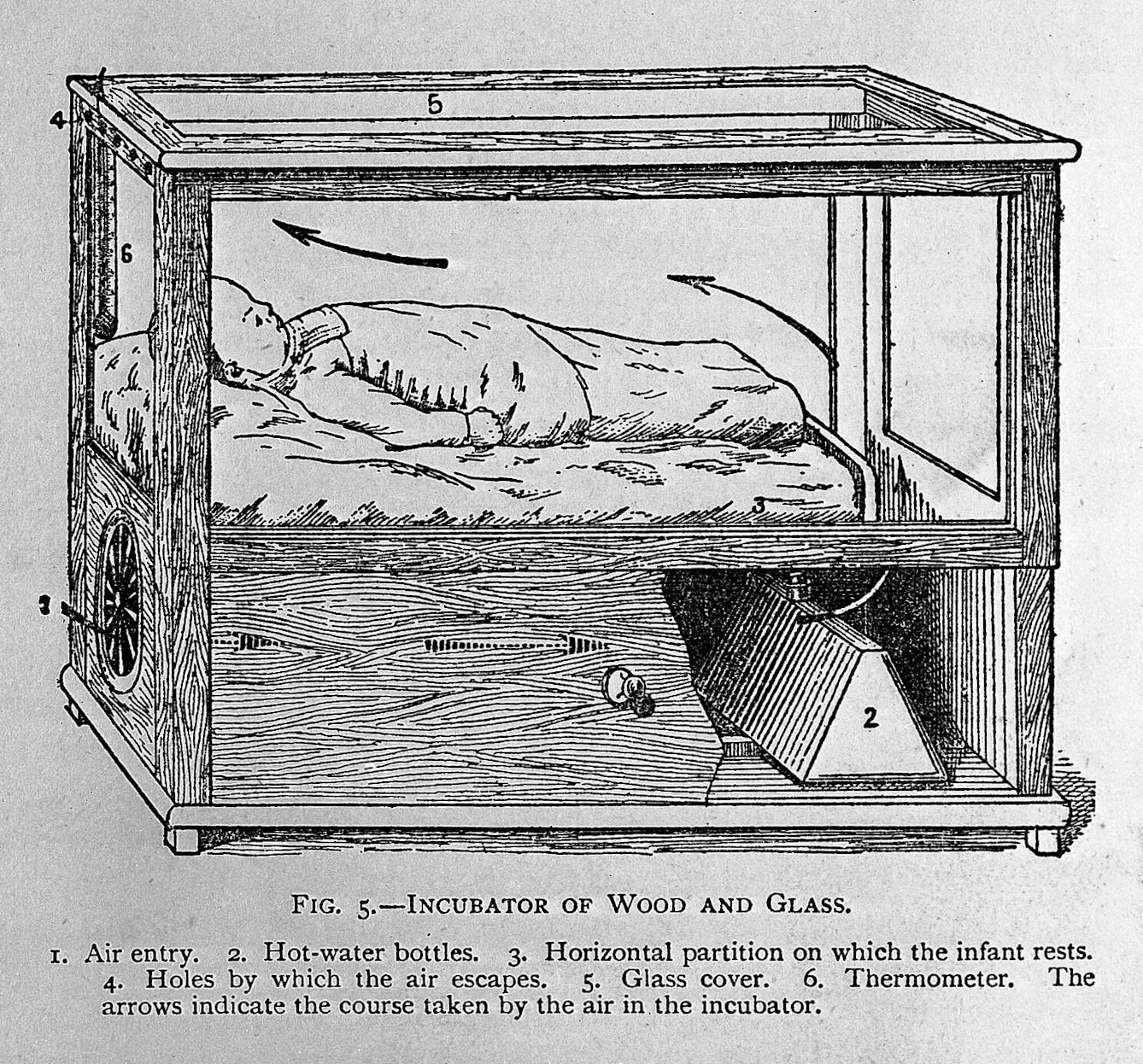 A black and white illustration from a book showing a diagram of an incubator made of wood and glass. The incubator is box shaped, and a baby is visible inside. Text below the image reads: Fig. 5, Incubator of Wood and Glass, 1. Air entry, 2. Hot-water bottles, 3. Horizontal partition on which the infant rests, 4. Holes by which the air escapes, 5. Glass cover, 6. Thermometer. There are arrows indicating the course taken by the air in the incubator.