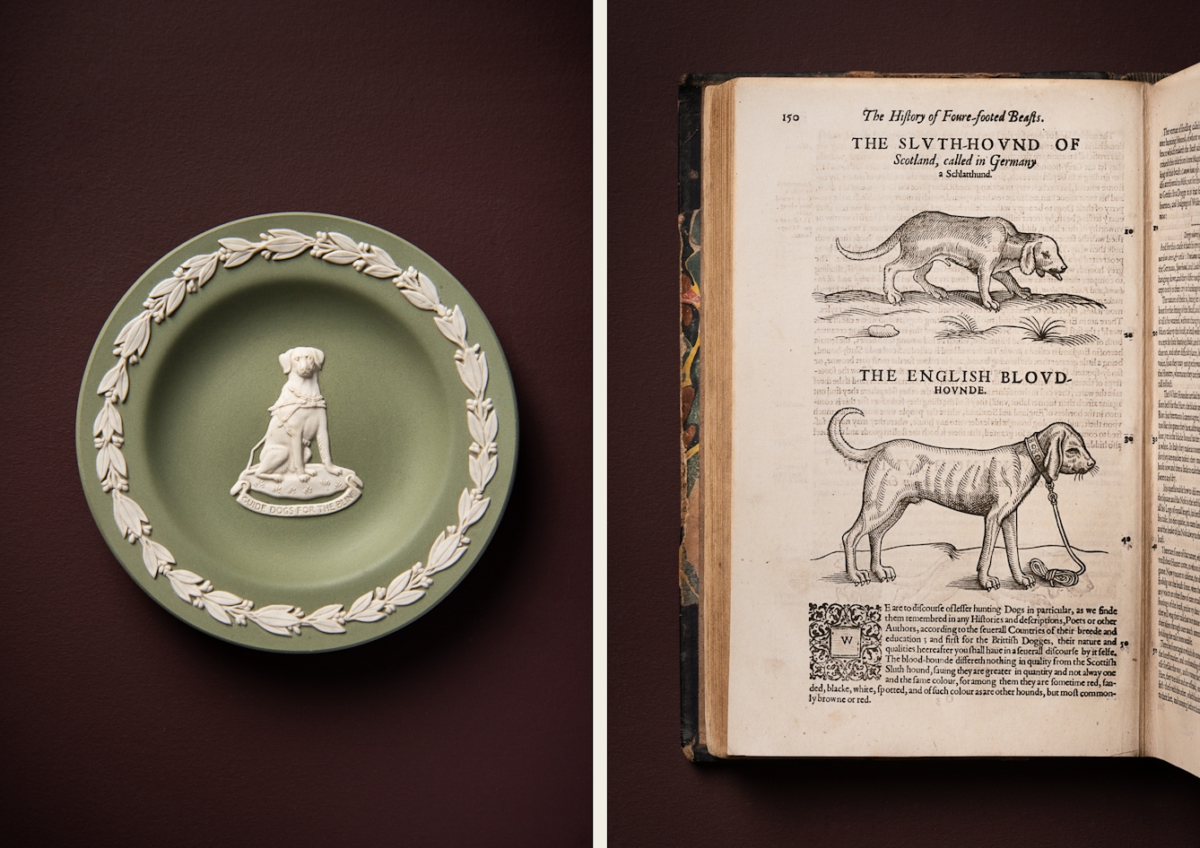A photographic diptych. The image on the left shows a modern decorative plate in a muted green in the middle of which there is an image of a Labrador guide dog wearing a harness underneath which is the text ‘Guide Dogs For The Blind’ on a scroll. Both feature in white relief, as does a floral design around the edge of the plate. The image on the right shows the left hand page of a medieval book featuring two illustrations of bloodhounds in a black outline and a paragraph of text below. The items appear on a plain brown background.