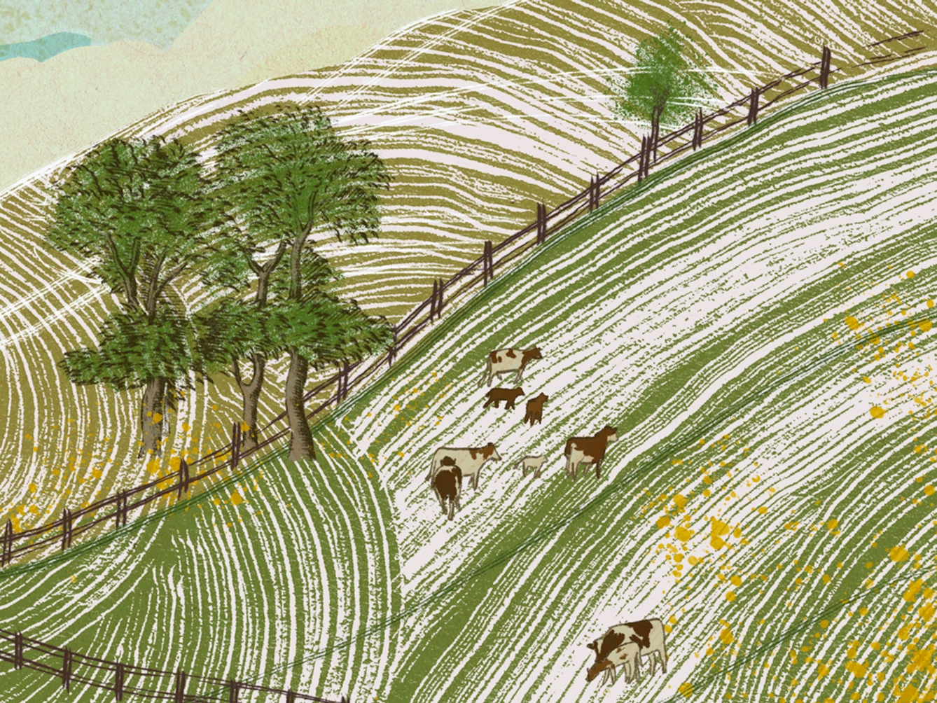 A digital illustration of rolling hills with fences and a small herd of cows. The hills are depicted with large strokes of differing shades of green, and also feature outcrops of trees. The cows are Friesian with large white and dark patches.