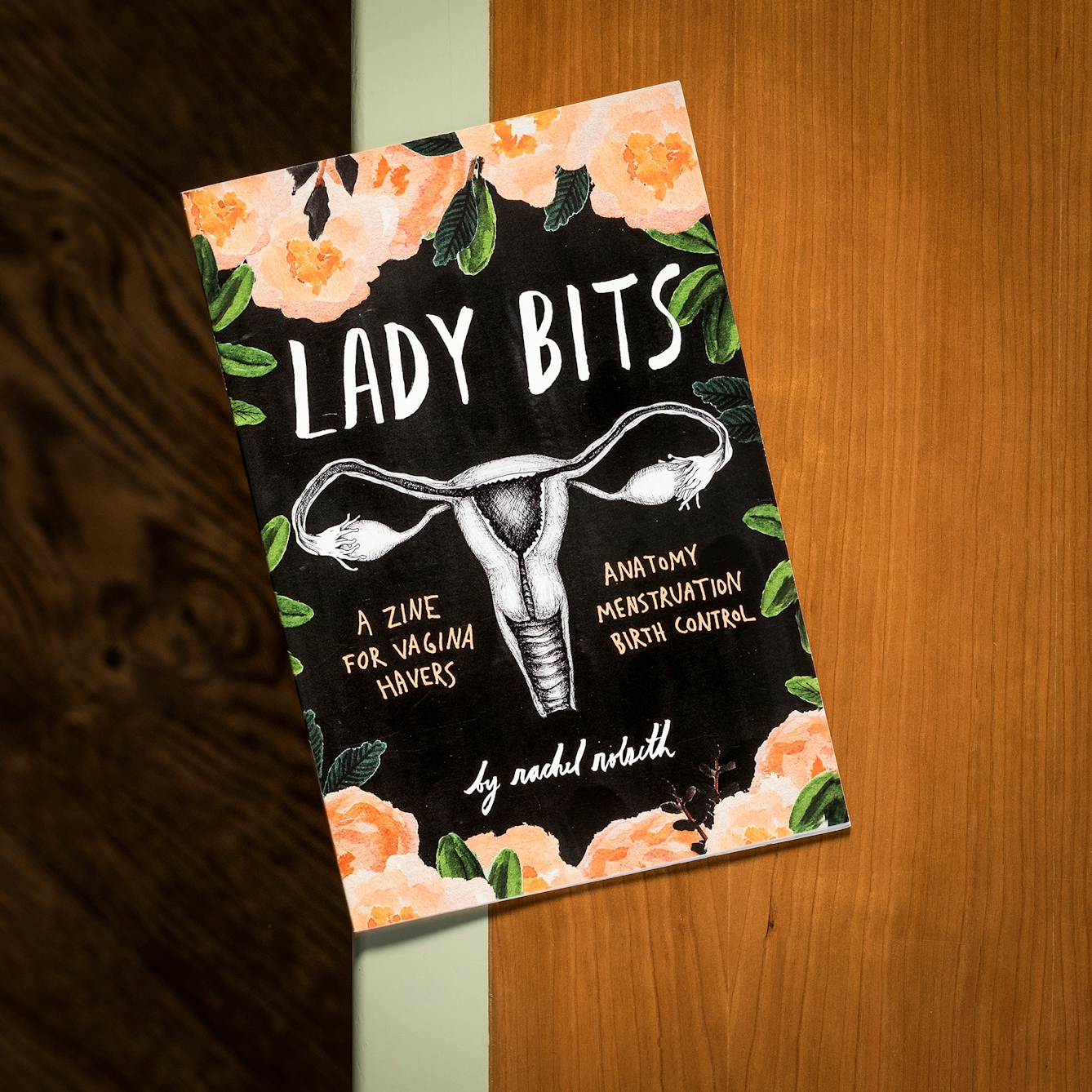 Photograph of Lady Bits zine on a library desk