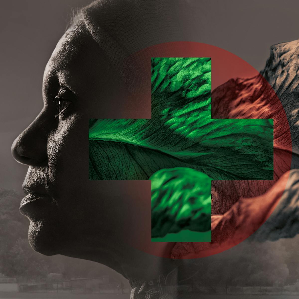 Digital montage artwork in which a tree lined parkland is overlaid with a portrait of a Black woman in profile, gazing into the distance. Behind her head is a textured leaf, parts of which form a green cross on a graduated red circle.