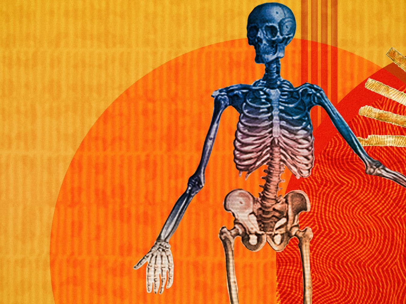 Detail from a larger abstract digital illustration featuring three anatomical depictions of the human body. This image shows the skeletal bone structure. Circles of energy are shown to be radiating from each of the bodies, overlapping each other. The main colour combinations are yellows, reds and oranges. The background shapes contain textures and patterns.