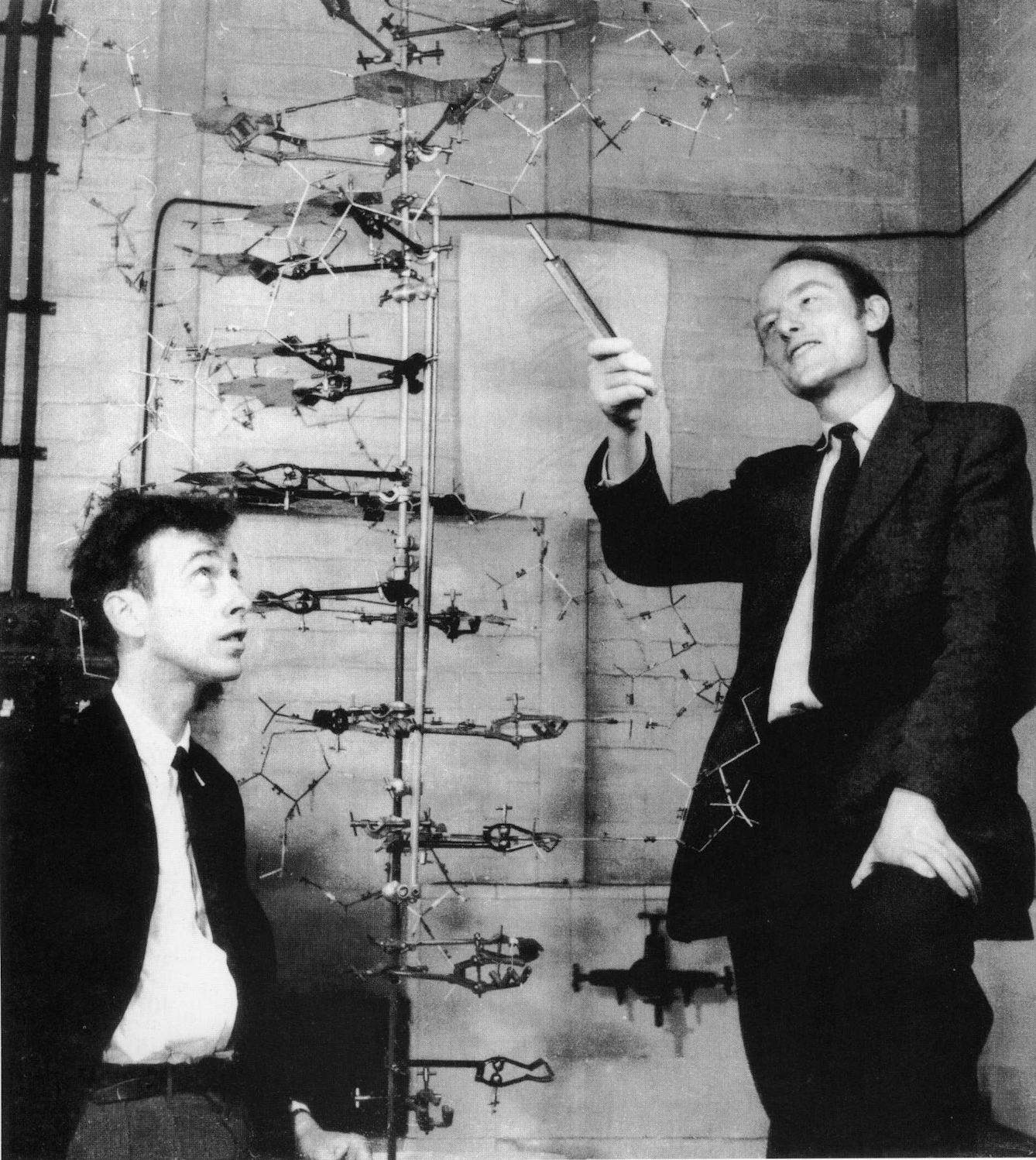 Photograph showing two men in suits and ties, looking at a stick-and-ball model of DNA. The older man, to the right, points at it with a stick. The younger man, on the left, looks upward at the model and his colleague.