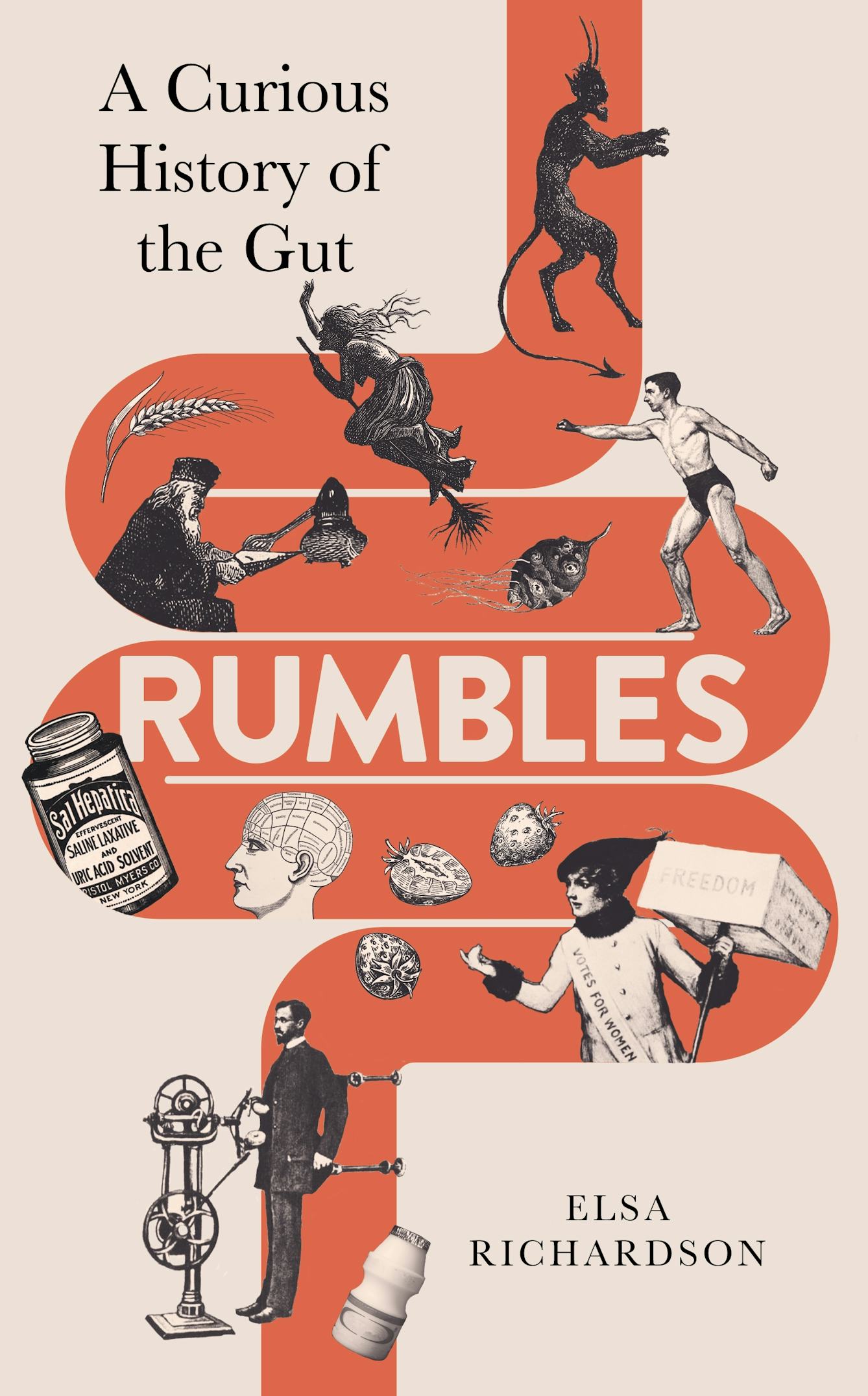 Cover of 'Rumbles: A Curious History of the Gut' by Elsa Richardson