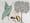 A coloured engraving of the mango tree, with close ups of the leaf, fruit and nut.