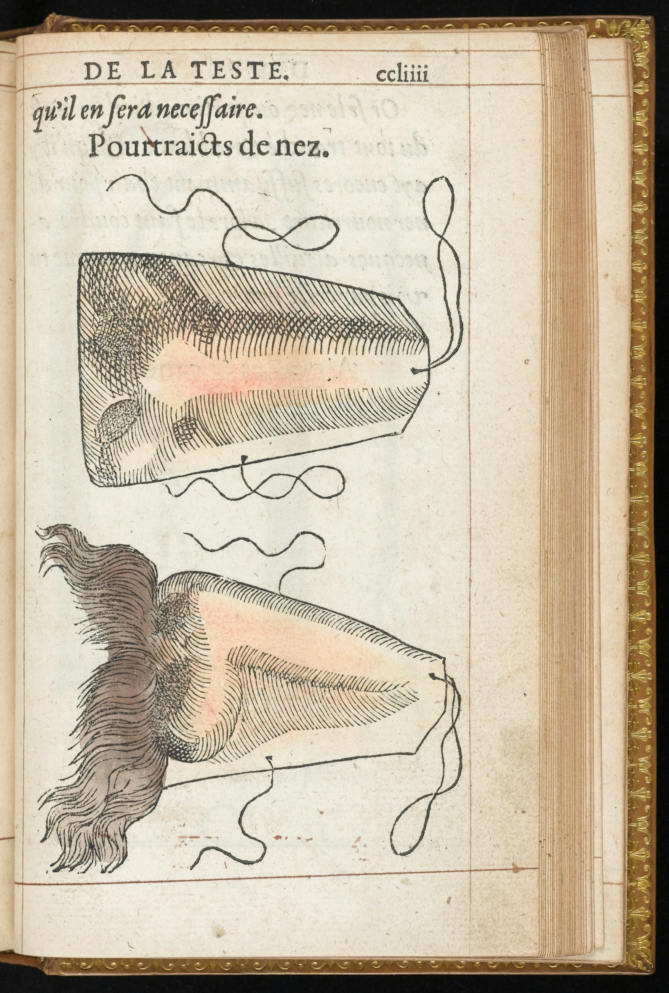 Two drawings of artificial noses on a page of a book.