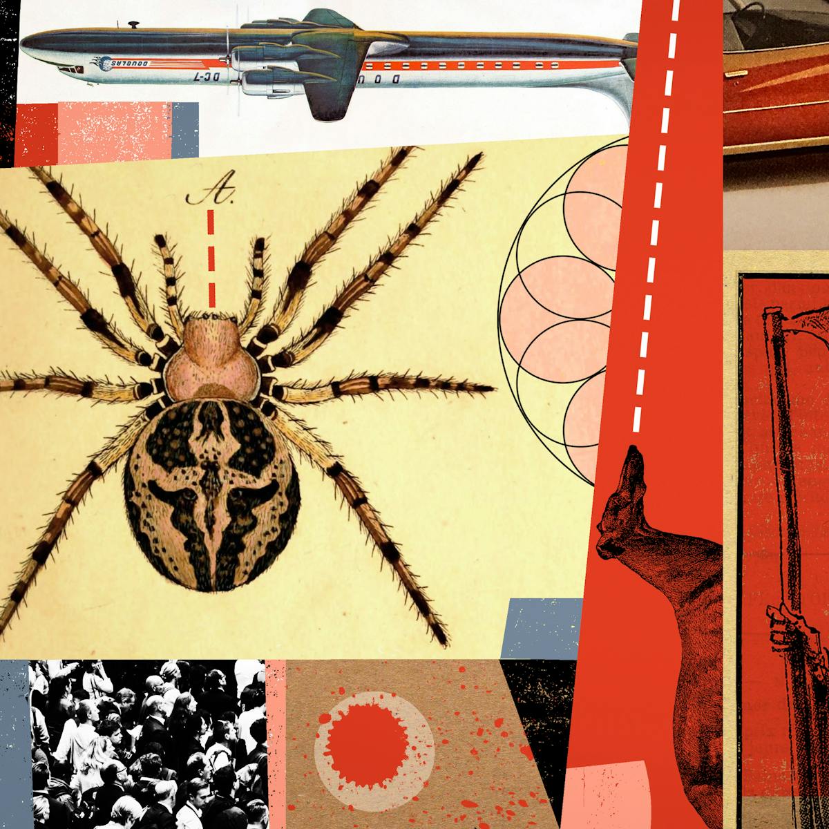 Digital montage artwork made up of archive illustrations, photographs and graphical shapes. The overall hues of the artwork are reds, yellows and blacks. There are a number of references across the artwork, some cut out, others framed in regular shapes, but all touching on the theme of phobias. There's a large spider, an aeroplane flying upside-down, a large crowd, a man trapped in a small box, a dog with a dashed white sightline coming from its head and an image of the grim reaper standing behind a man. 