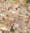 Battle of the Sannyasis, c1590