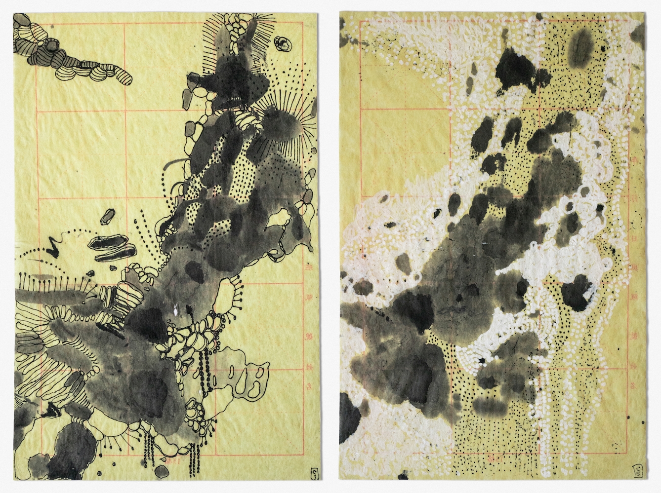 Photographic diptych of two abstract drawings on pink gridded Chinese calligraphy paper that is slightly crumpled and folded. On the left is a connecting of dark splodges ranging from a dark black to a more faded grey. Some of the splodges are long, narrow and oval shaped whilst others are more rounded. Thin black pen lines, some solid and some dotted, are connecting all the splodges to one another, to form one single, cell like structure, with antennae like black lines extending from it. In the top left hand corner is a separate structure, a collection of small stripey shapes, some of which are filled with dark grey ink. On the right is a similar drawing to that on the left, with the same general structure visible, although is it more unfinished, with many of the black splodges not present, and instead replaced by miniscule black dots or softer white splodges. 