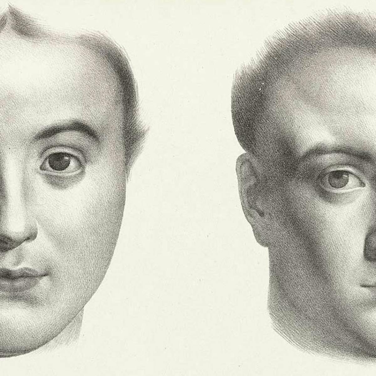 Black and white engraving of two women’s differently shaped heads.