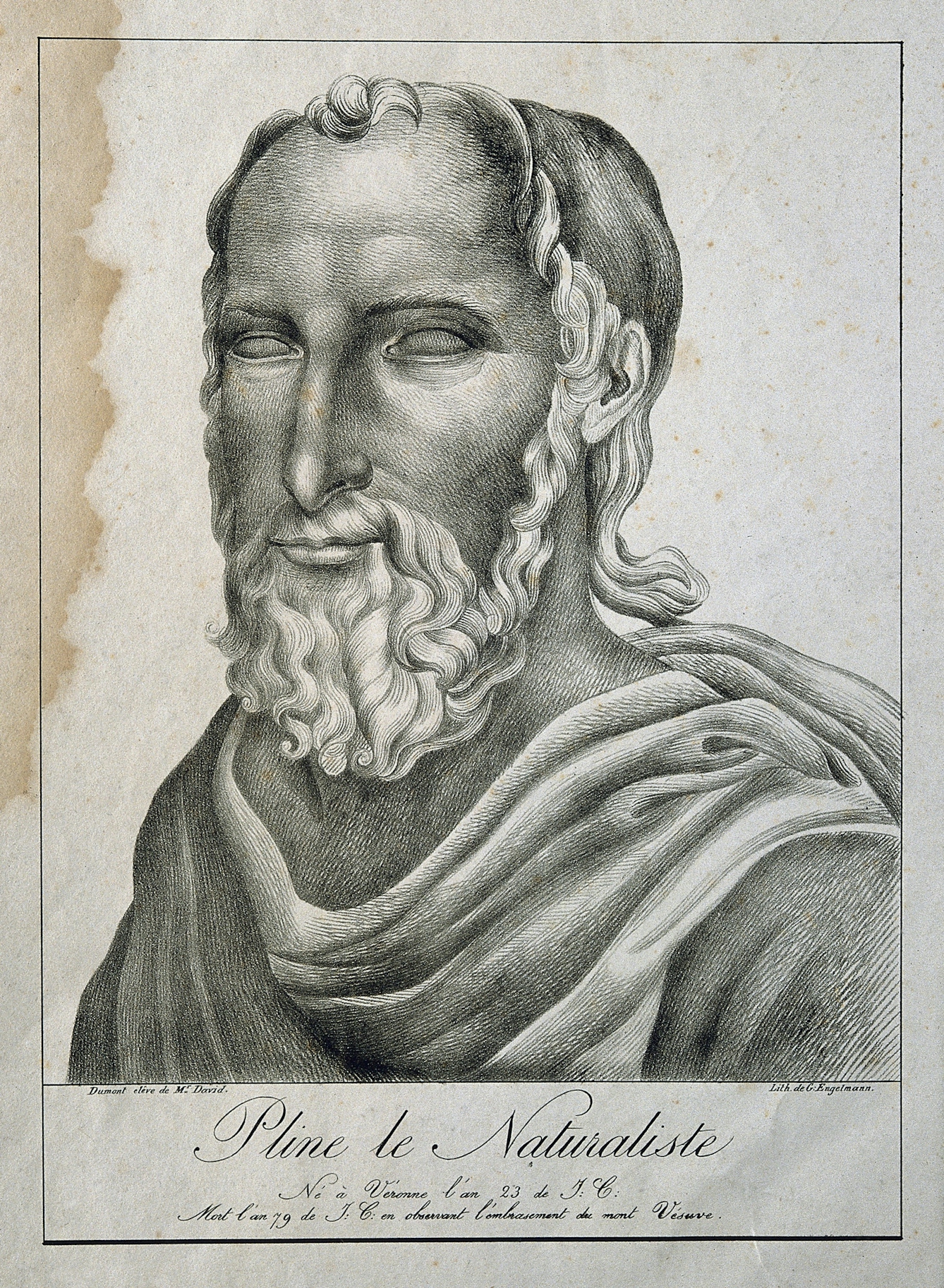 Lithograph of Pliny the Elder