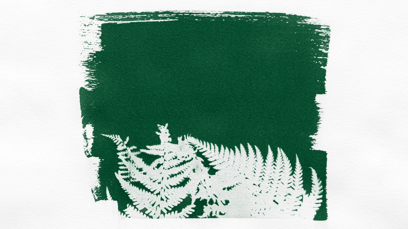 Photograph of a green toned photogram. The light sensitive emulsion has been roughly spread onto the textured watercolour paper leaving brush marks around the edge. In the centre of the green colour of the emulsion is the white silhouette of a cluster of fern leaves.