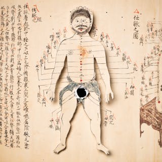 The castration effect | Wellcome Collection