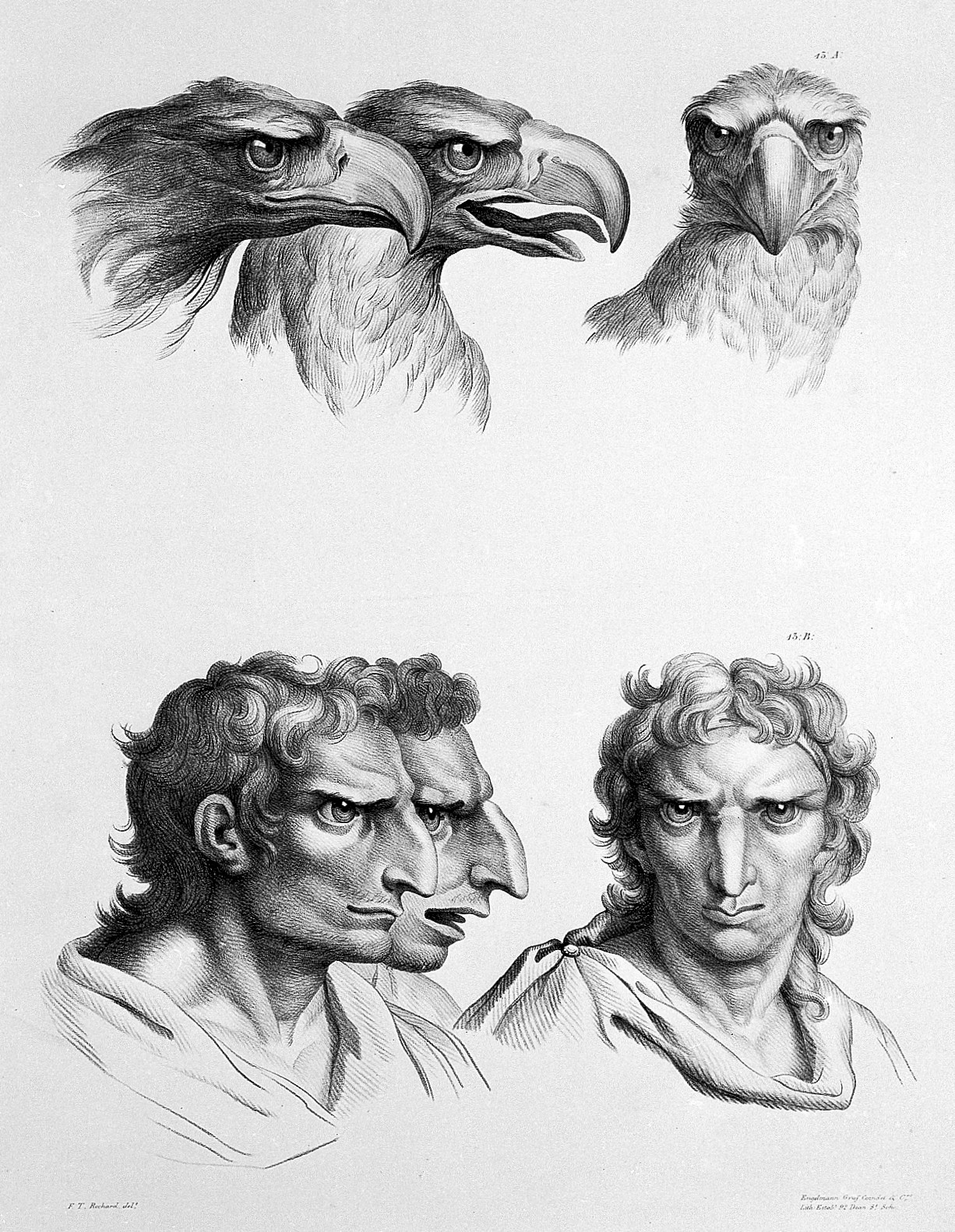 Charles Le Brun, The relation between the human physiognomy and that of the brute creation, 1671