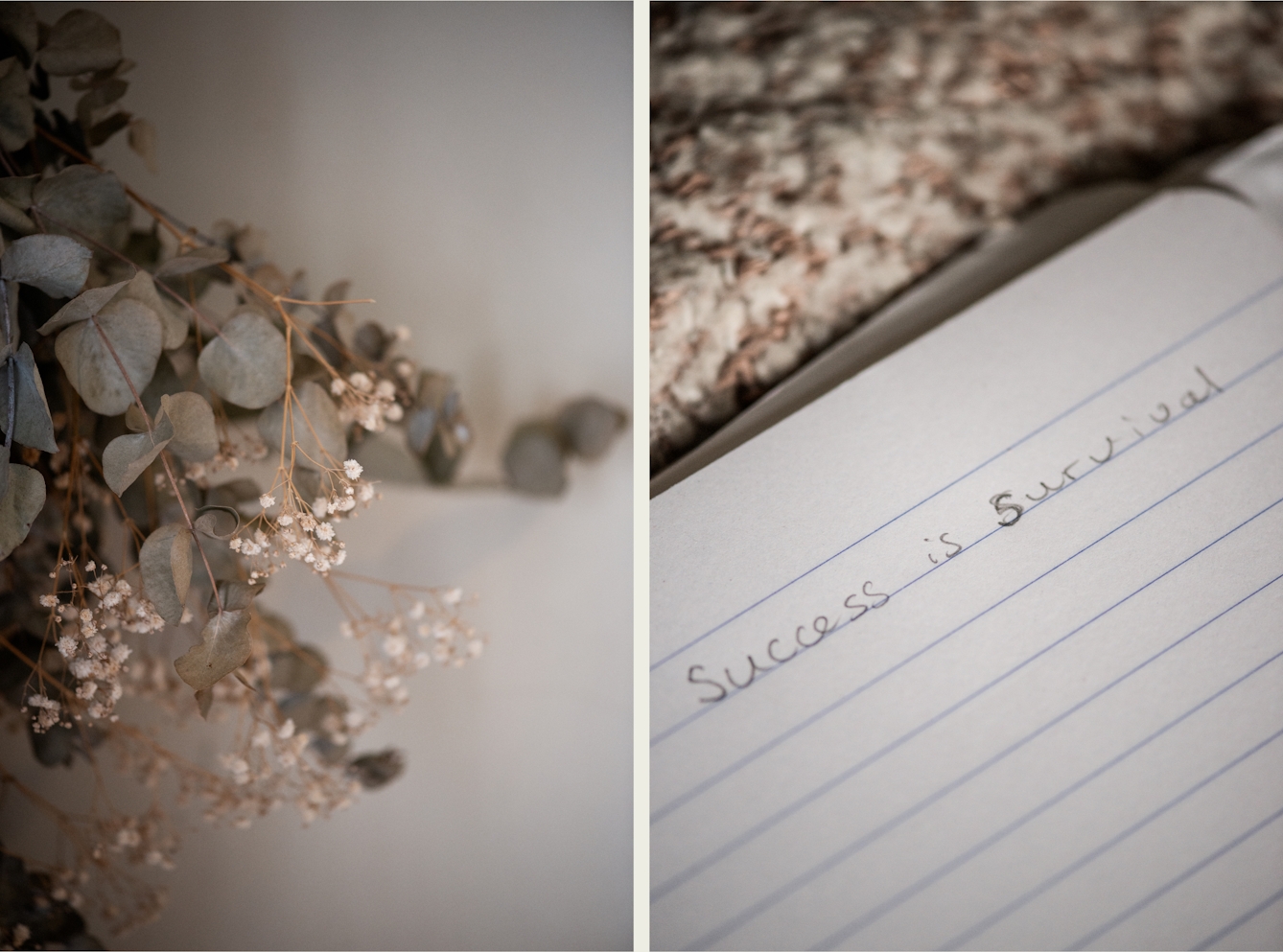 Photographic colour diptych. The image on the left shows several branches with small green leaves and small white flowers attached. They are on a white background. The image on the right shows a lined notebook - the first line reads 'success is survival', written in pencil. The letter 's' in survival is bolder than the rest of the text. 