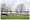 Photograph of a grass parkland area with leafless trees, intersecting pathways and benches. There is a large river in the background with buildings in the distance. Cutting across the image from centre left to bottom right of the image is a black metal railing fence. Behind the fence and partially obscured is a large area of bright yellow daffodils.