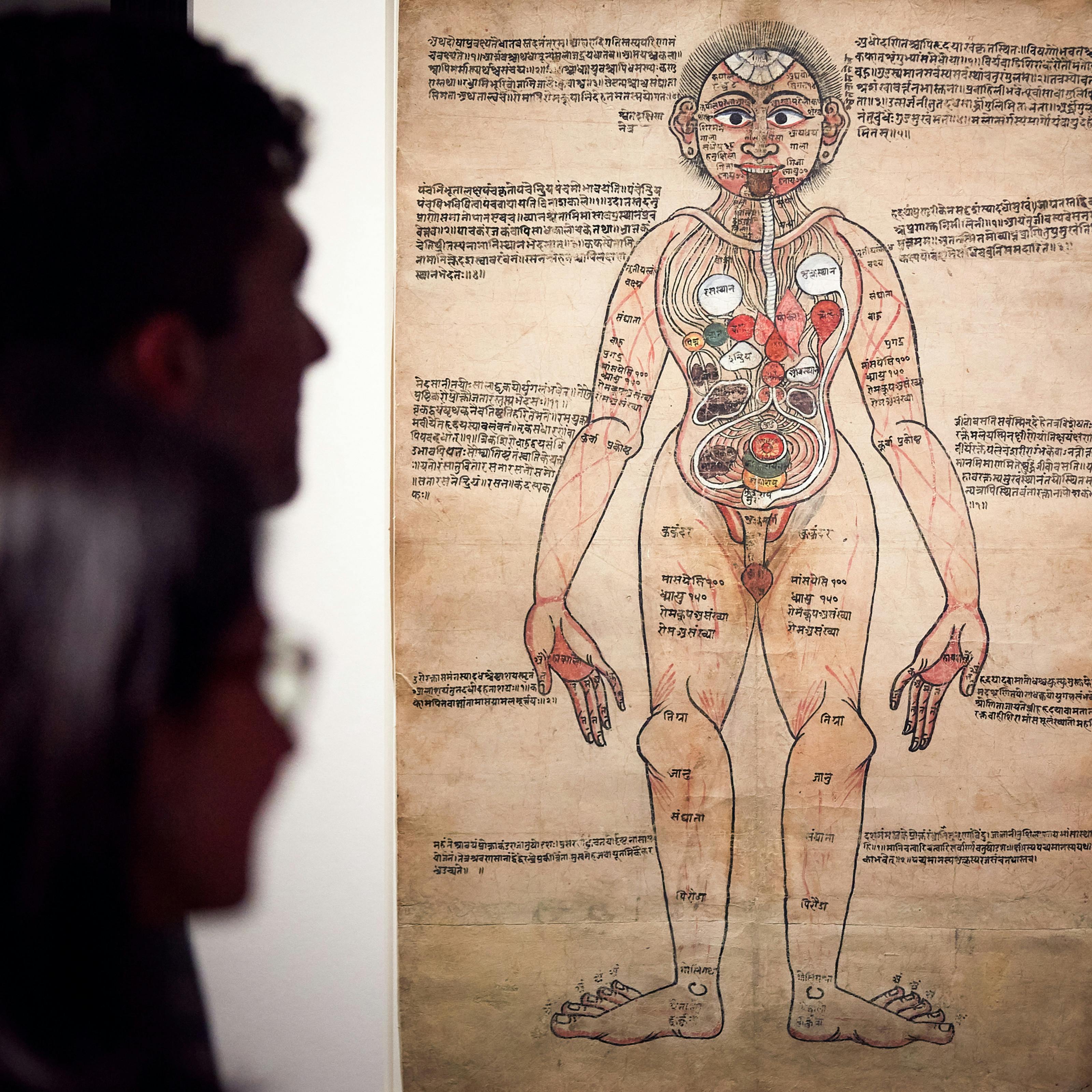 Photograph of visitors exploring the exhibition, Ayurvedic Man: Encounters with Indian medicine at Wellcome Collection.