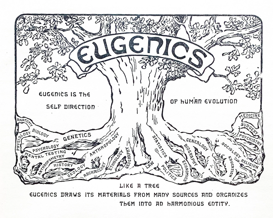 Tree of life | Wellcome Collection