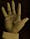 Black and white photo of Emile Zola’s hand.