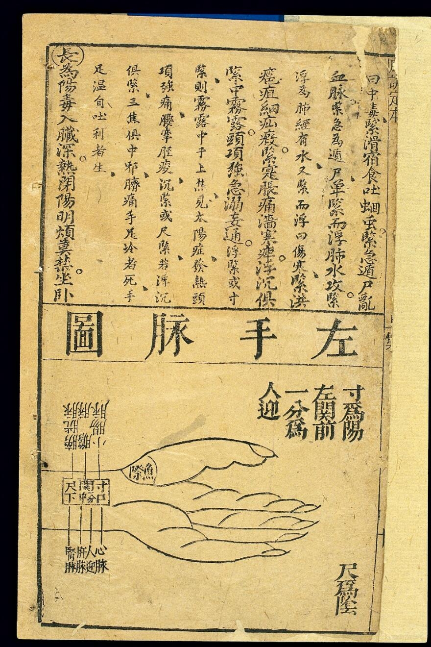 Chinese characters written on parchment on the top half of the page. An ink sketch of a left hand with labels indicating where to measure pulse.