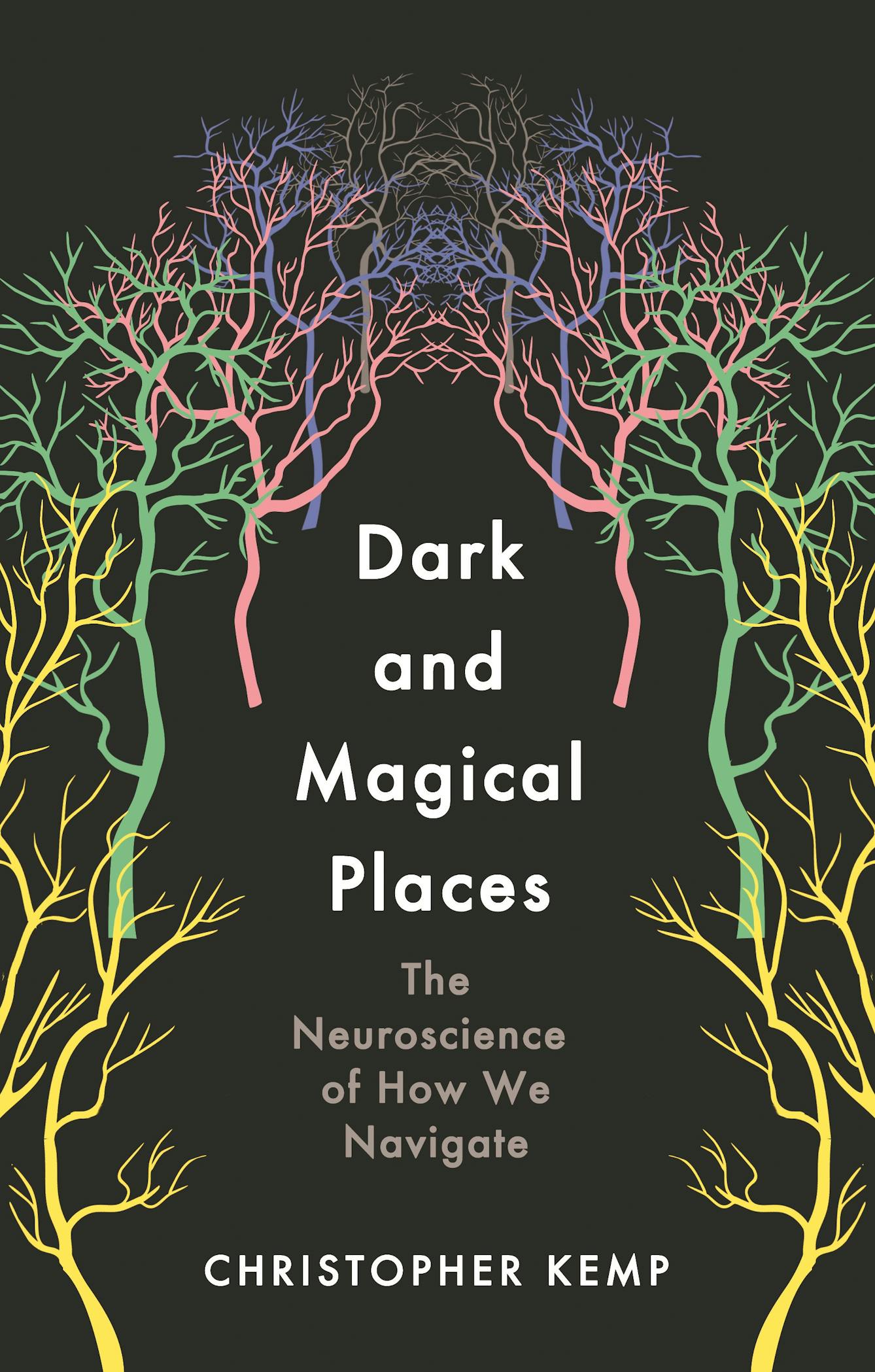 Dark and Magical Places book cover