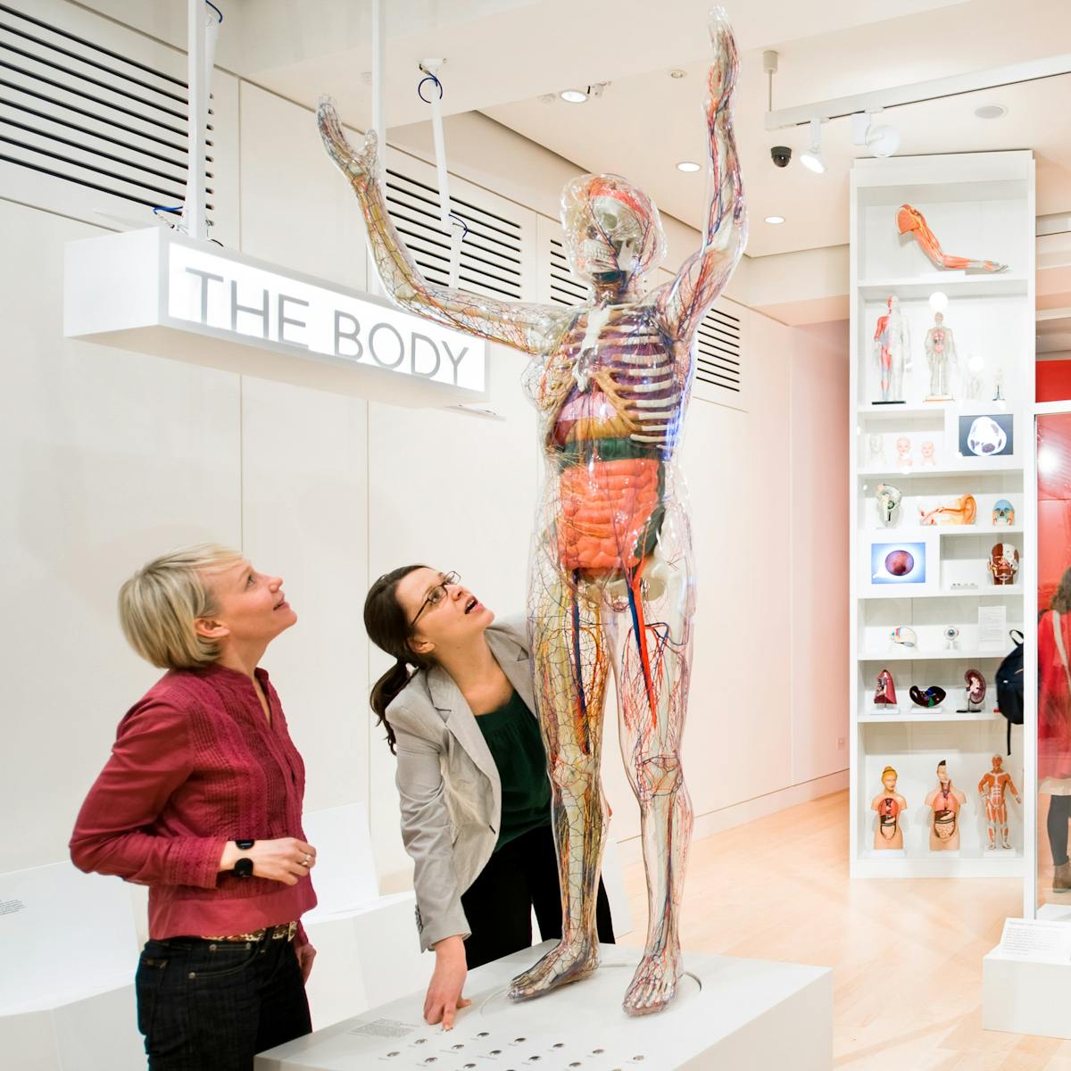 Photograph of the Medicine Now exhibition space at Wellcome Collection with visitors looking at the exhibits.