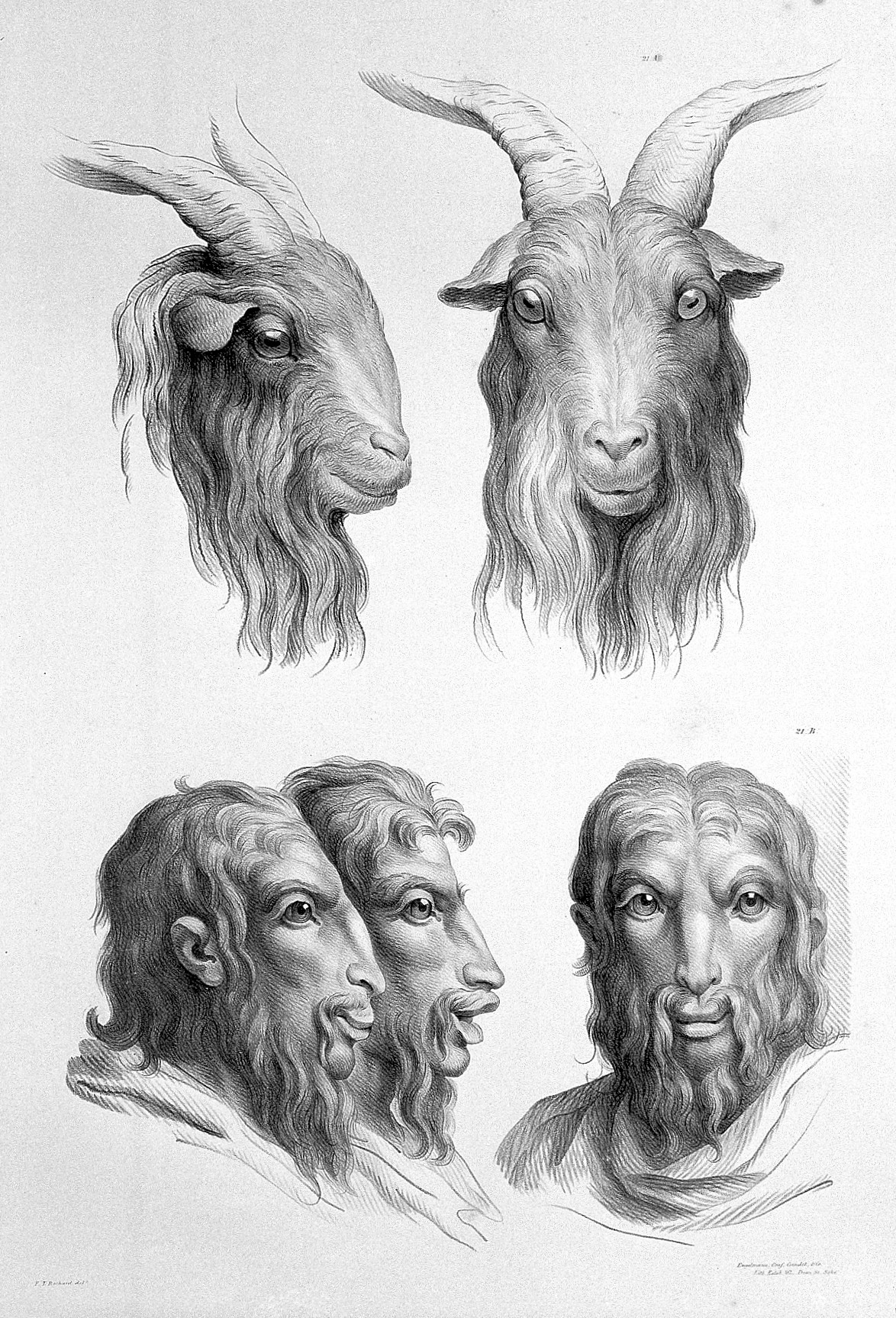 Charles Le Brun, The relation between the human physiognomy and that of the brute creation, 1671