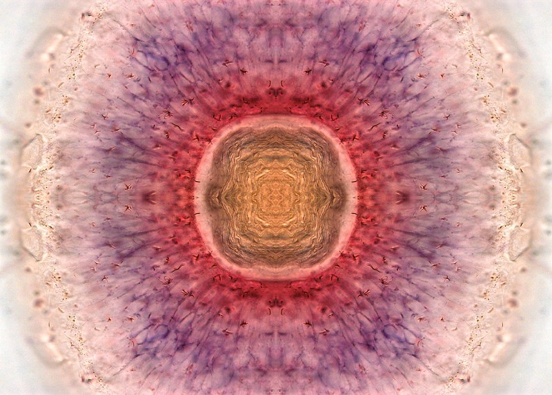 Circular patterns of orange, pink and purple.