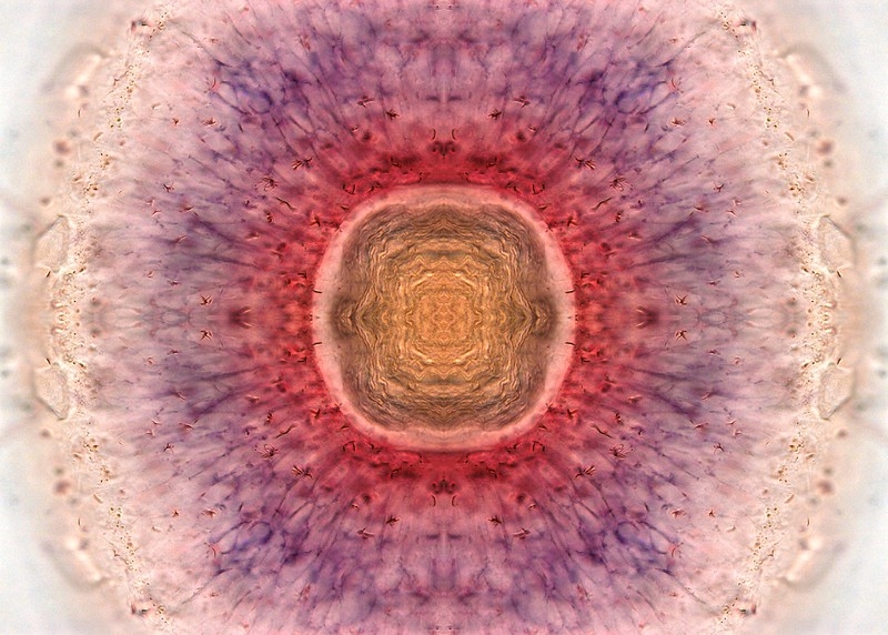 Circular patterns of orange, pink and purple.
