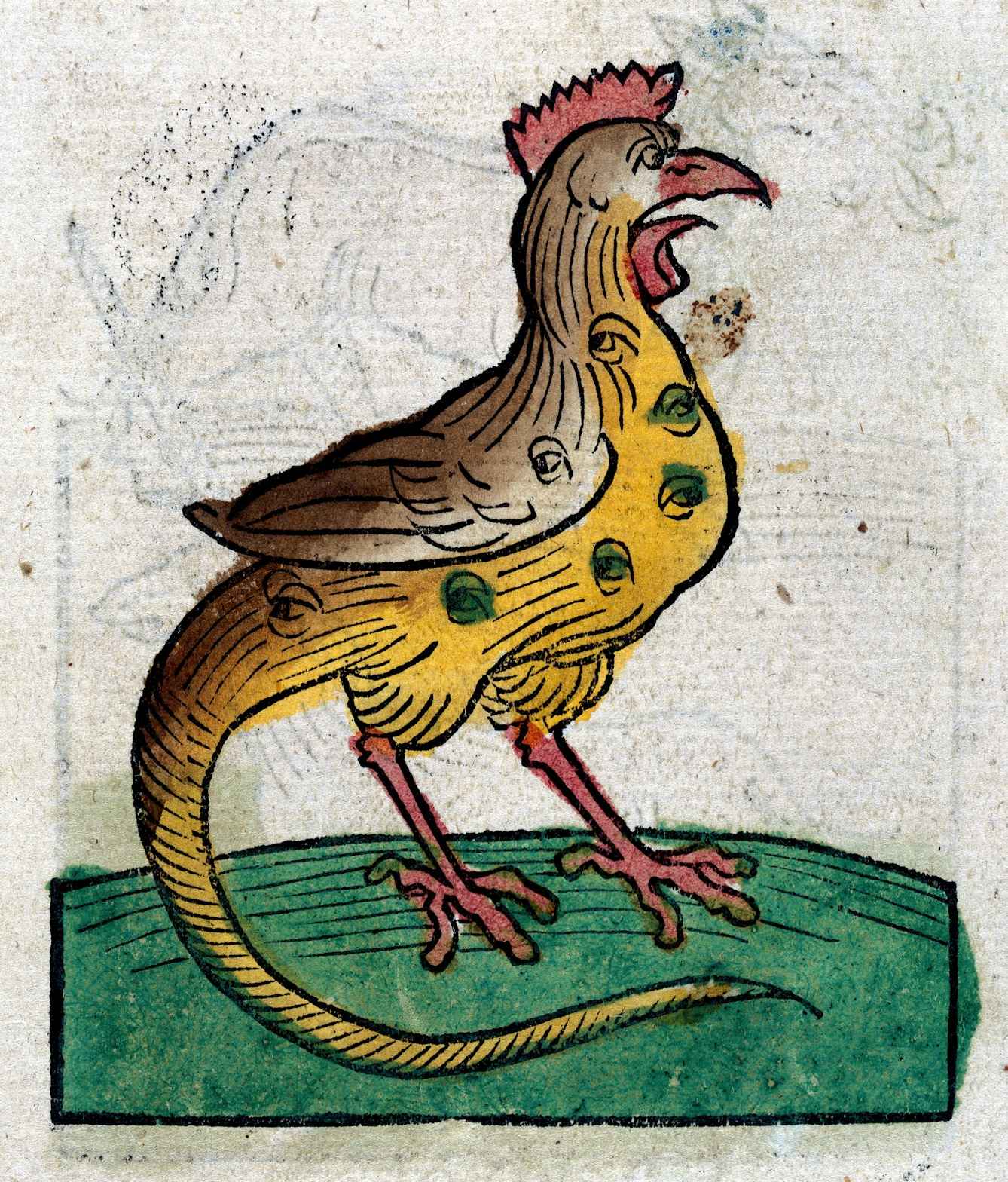 Painted woodcut style illustration of a cockrel, which appears to have eyes all over its body and on its wing.