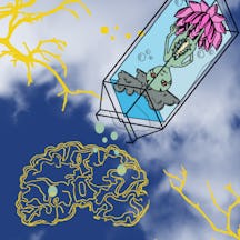 Colour illustration showing a brain and an alien-like creature floating in a container with water and a lotus flower. In the background are clouds and yellow lines like neurons or lightning or twigs.