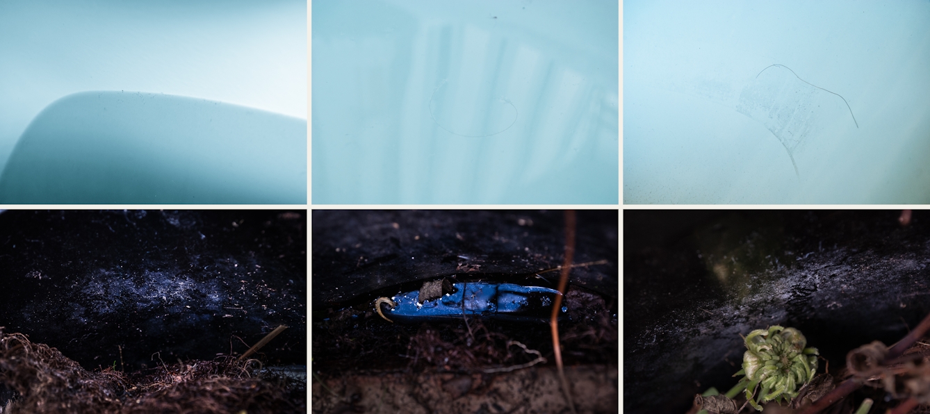 Photographic sextych made up of two rows of three images. The top row of images show close-up abstract images of a bathtub containing water and human hairs, soap and skin scum. The overall tone of the images is a light blue. Shadow lines and reflections cover the images. The bottom row of images show close-up scenes from nature, soil, roots, fungal growths and flower heads. The overall tones are blacks and browns.