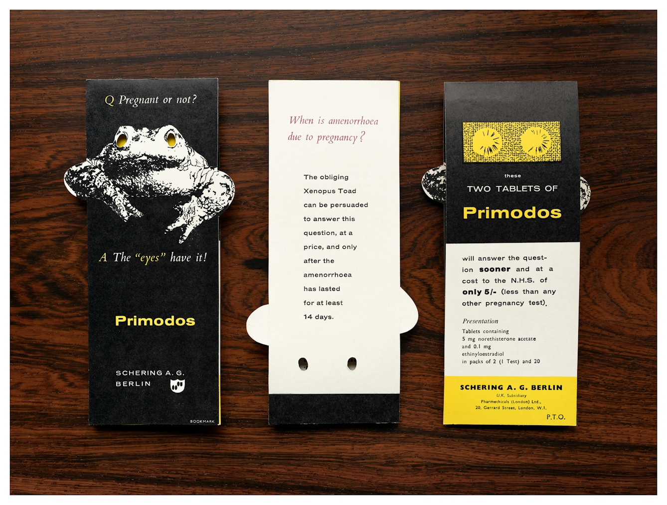 Photograph of a promotional folding leaflet for Primodos. The front, back and inside are show side-by-side on a dark wooden tabletop. The front cover shows an illustration of a frog with cutout eyes showing the yellow colour of the page beneath. The cover says, "Q Pregnant or not? A The 'eyes' have it! Primodos, Schering A.G. Berlin. The back cover reads "When is amenorrhoea due to pregnancy? The obliging Xenopus Toad can be persuaded to answer this question, and only after the amenorrhoea has lasted for 14 days." The inside cover reads "these two tablets of Primodos will answer the question sooner and at a cost to the N.H.S of only 5/- (less than any other pregnancy test). Presentation: Tablets containing 5mg norethisterone acetate and 0.1 mg ethinyloestradiol in packs of 2 (1 test) and 20. Schering A.G. Berlin."