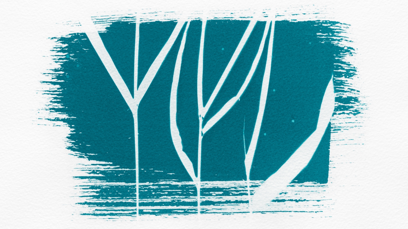 Photograph of a turquoise-toned photogram. The light-sensitive emulsion has been roughly spread onto the textured watercolour paper leaving brush marks around the edges. Vertically crossing the turquoise colour of the emulsion is the white silhouette of a three wetland reeds with thin stems and long straight leaves.