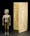Image of bronze acupuncture figure next to scroll with Chinese text