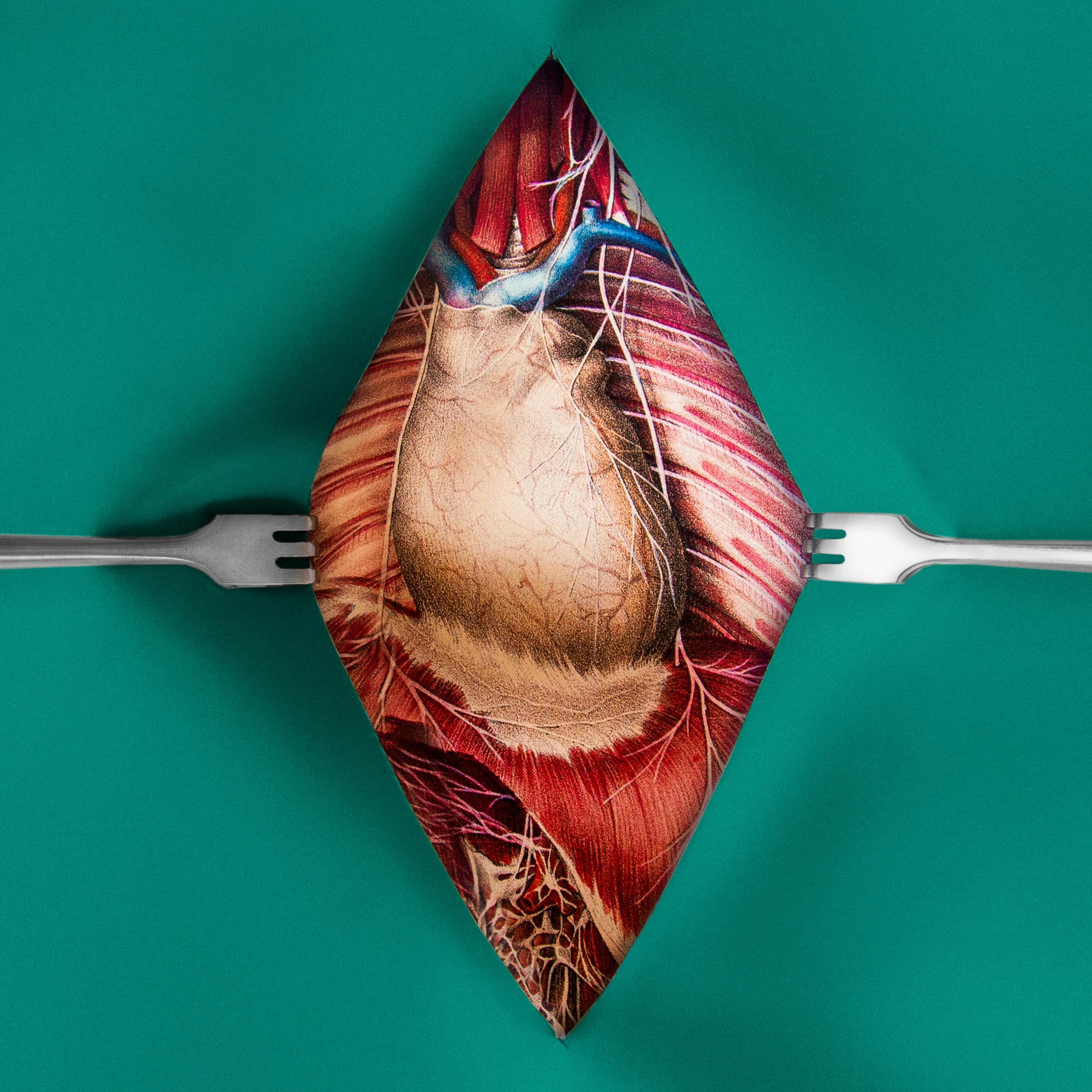 Heart illustration by Emily Evans