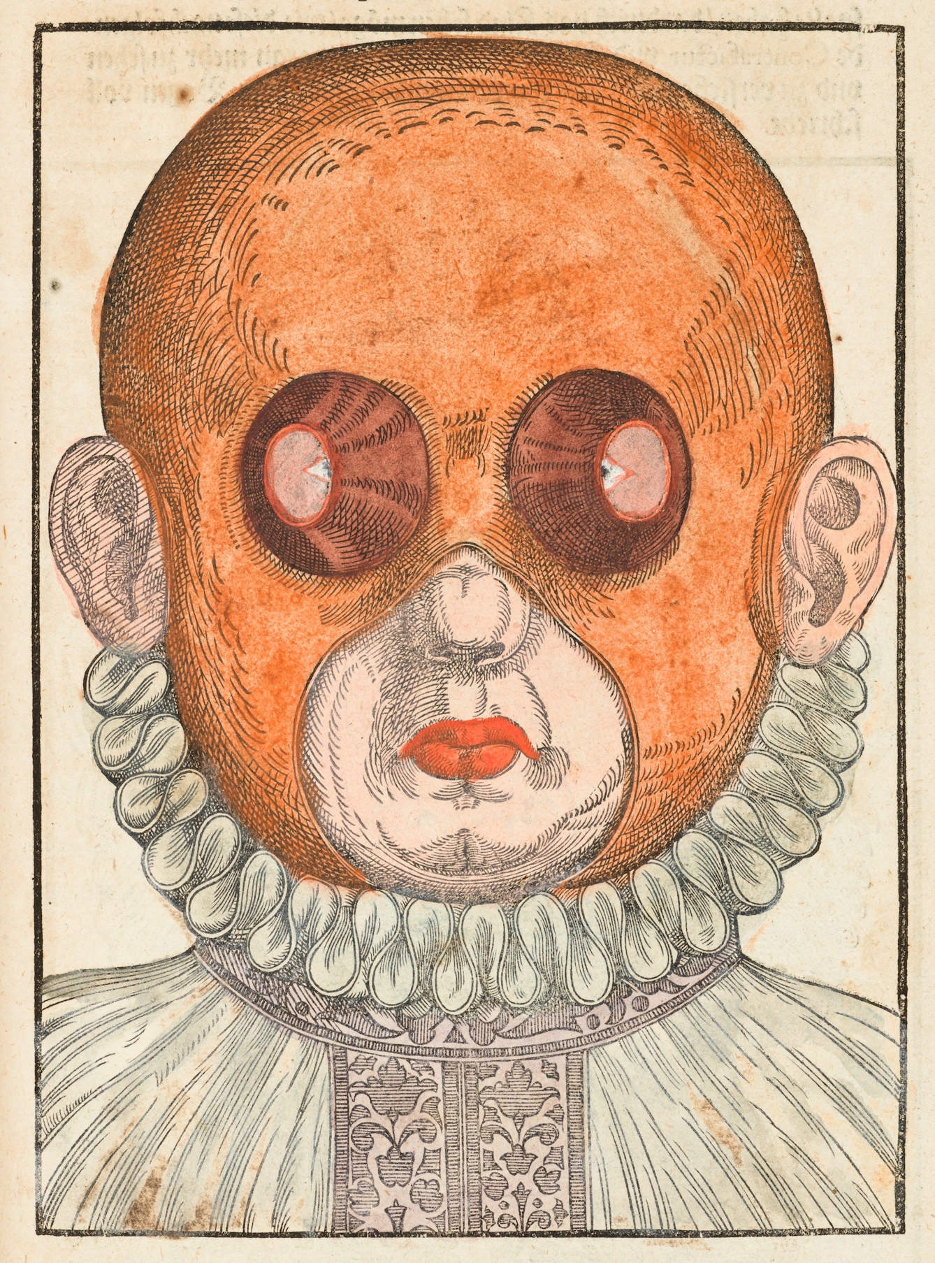 Coloured engraving from a 16th century book showing a person's head and neck ruff. On their head is a red mask which has small holes exposing the outside edges of their eyes and larger holes exposing their ears, nose and mouth.