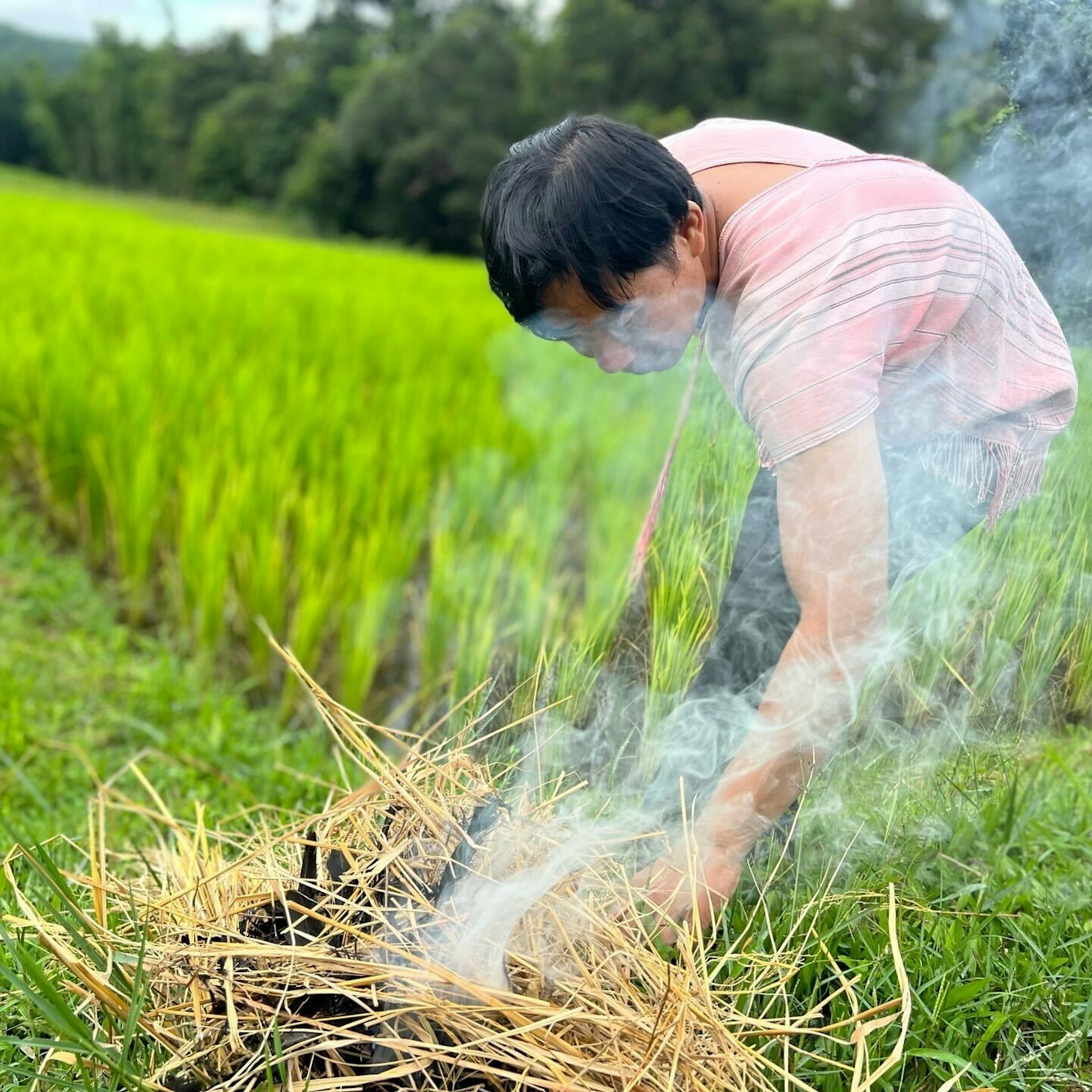 A photograph of a Thai man tending to small fire of dried vegetation. In the background are fields of green crops.
