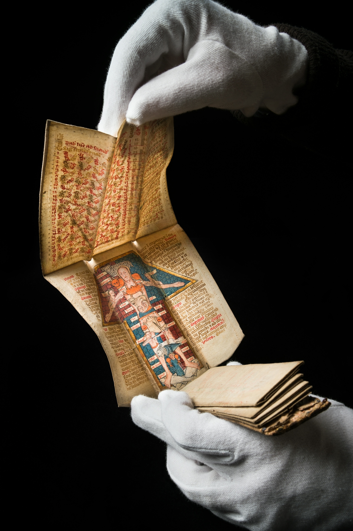 A 15th century medieval folding almanac being opened by a pair of white-gloved hands to reveal astrological charts and a brightly coloured illustration of a ‘Zodiac Man’.