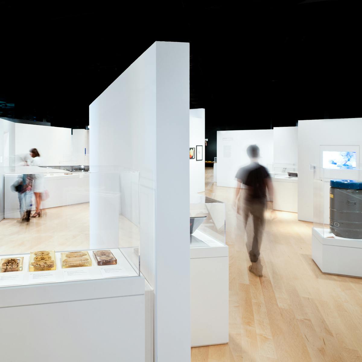 Photograph of the Brains: The Mind as Matter gallery space with display cases and visitors walking through the space.