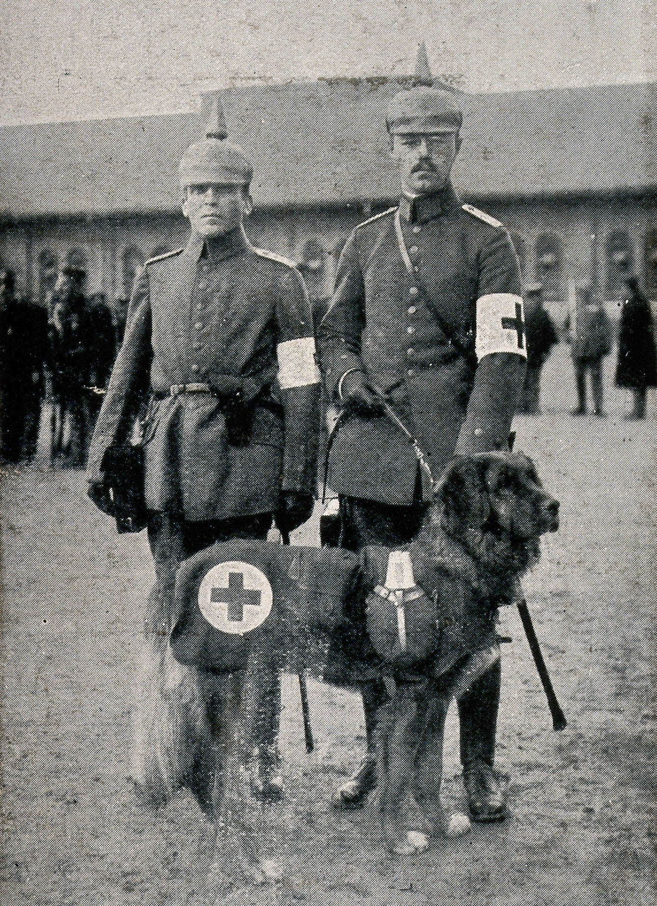 Two World War I orderlies in unifrom and a service dog from the German Red Cross